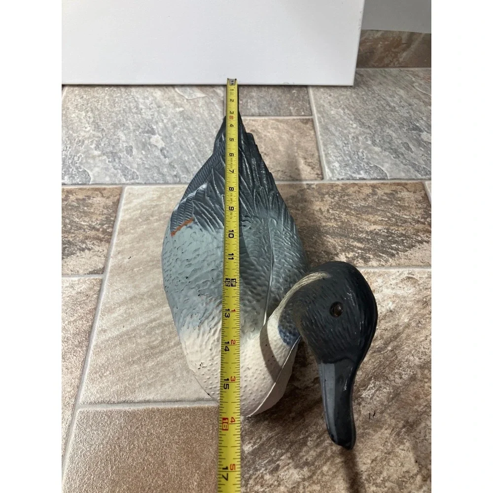 Northern Pintail Drake Duck Decoy Weighted Keel Floating Hunting Decor 17 Inch